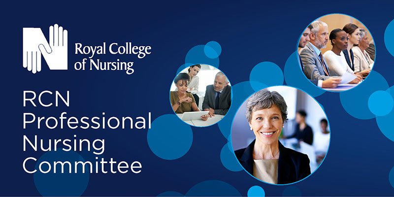 Professional Nursing Committee