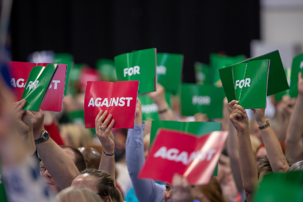 Members holding up voting signs at Congress