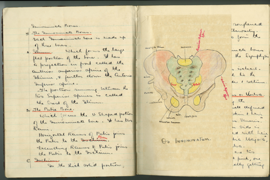 Jean Wilson's nursing notebook, 1929. Gynaecological illustrations of the female genitals. RCN Archive.