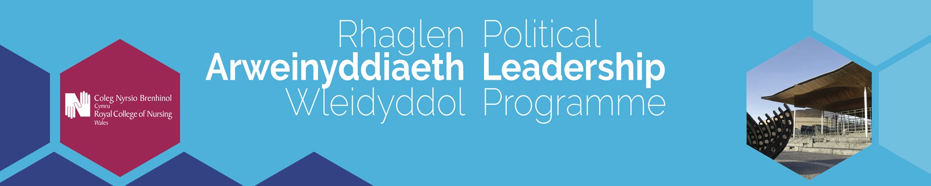 RCN Wales Political Leadership Programme banner RCN Wales Political Leadership Programme banner